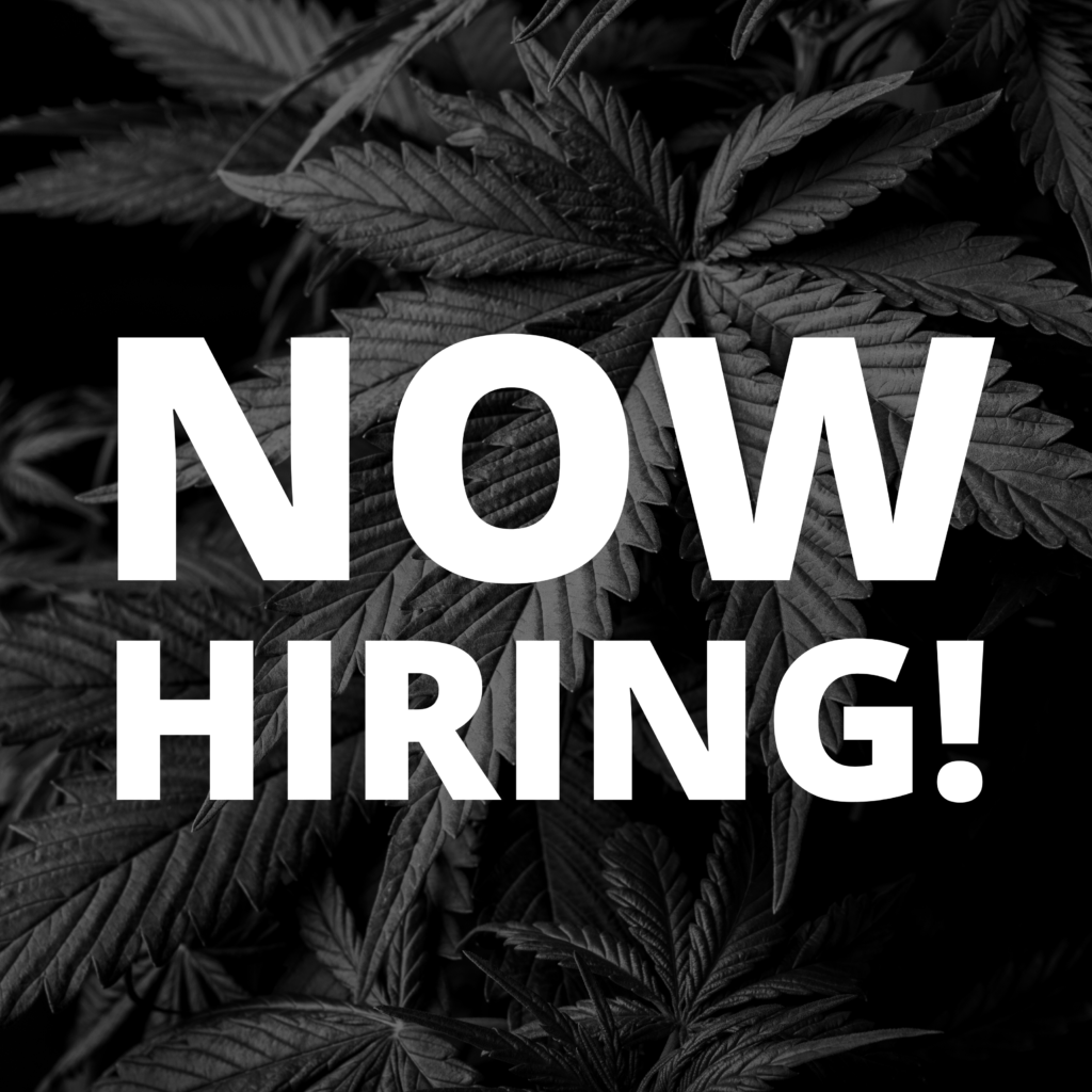 now-hiring-hotbox-farms